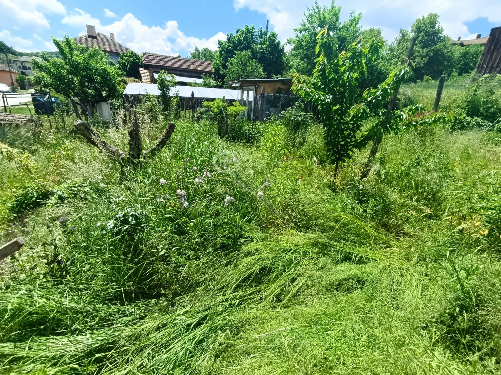 Продава КЪЩА, гр. Плачковци, област Габрово, снимка 6 - Къщи - 54745003