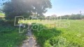 Продава КЪЩА, област Пловдив, с. Кърнаре • 30000 € • 88277172 — Holmes.bg