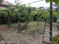 Продава КЪЩА, област Благоевград, гр. Симитли • 79970 € / 156407.73 лв. • 78968594 3