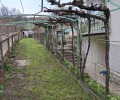 Продава КЪЩА, област Плевен, с. Лозица • 25000 € / 48895.75 лв. • 31602554 4