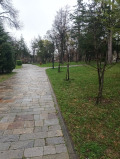 Продава ХОТЕЛ, област Монтана, гр. Берковица • 88000 € • 49864539 — Holmes.bg