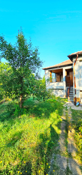 House Kristal, Pernik
