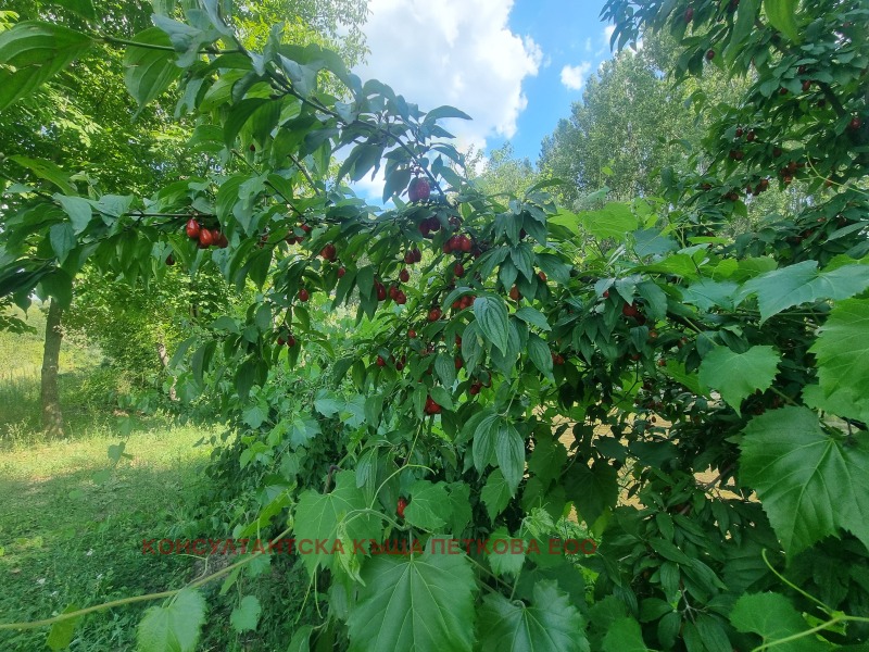 À venda  Terra região Lovech , Kazatchevo , 8 tudo bem | 13587190 - imagem [5]