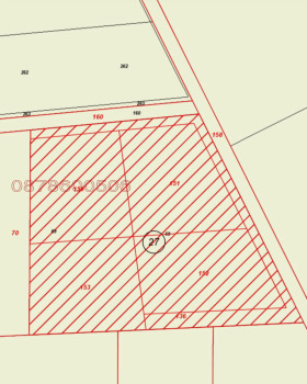 ������ ������� ������