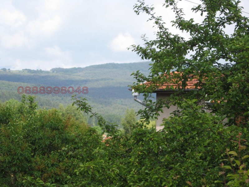 Продава КЪЩА, с. Горни Окол, област София област, снимка 7 - Къщи - 52889390