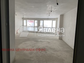 ����� ������� �������,���� �����, ������ ����