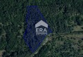 Продава  Парцел област Стара Загора , с. Ново село , 3004 кв.м | 79429515