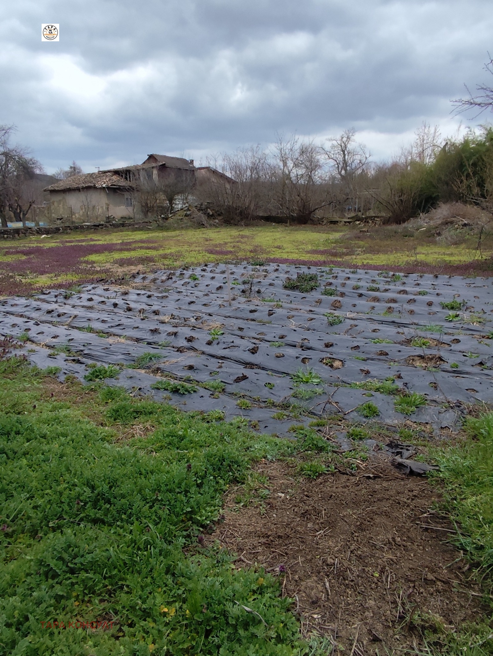 ������� ���� | Imot.bg � ����������� 4