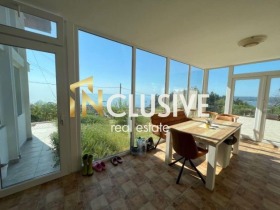 ������ ������� ����