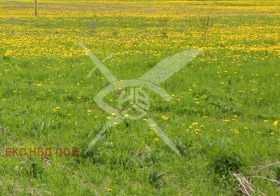 Cselekmény Caracovo, régió Plovdiv