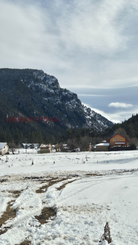 ������ ������� ������