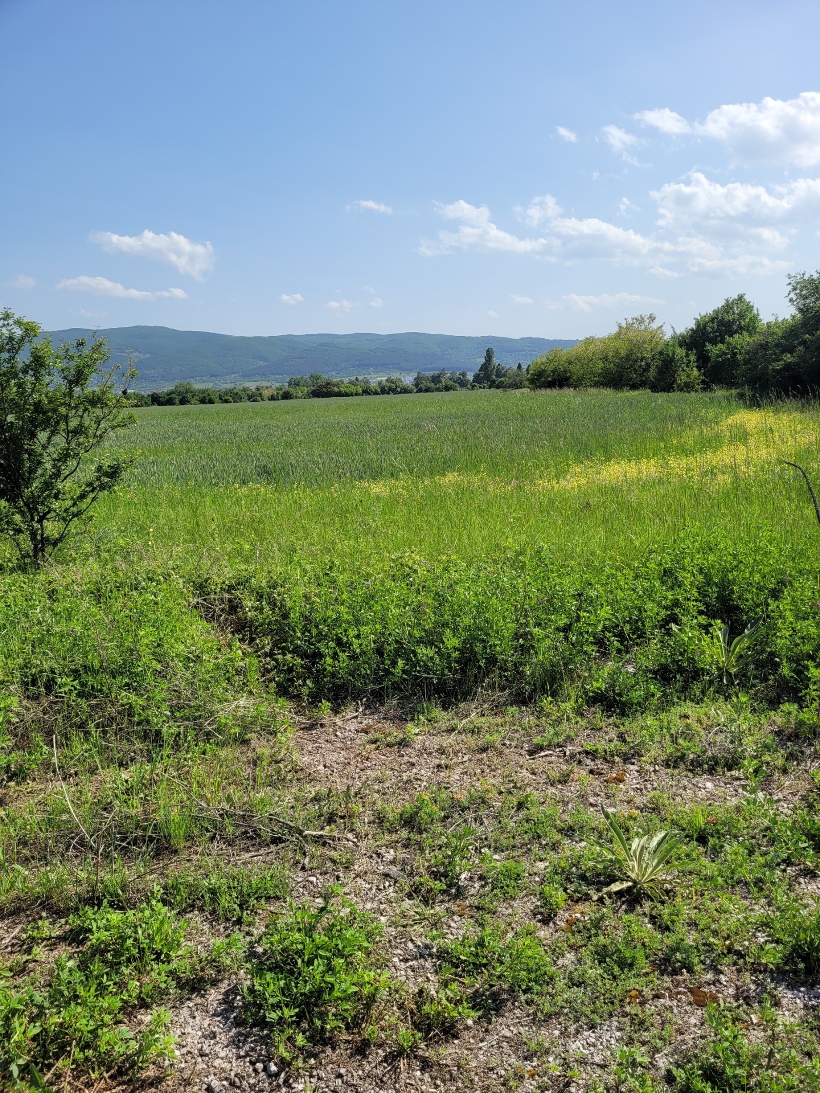 Продава ПАРЦЕЛ, гр. София, с. Казичене, снимка 4 - Парцели - 54995974