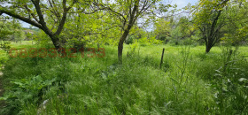 ������� ������ | Imot.bg � ����� ������ 8