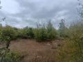 Продава ПАРЦЕЛ, гр. Варна, Виница, снимка 2