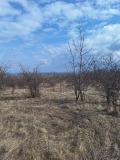 Продава ПАРЦЕЛ, град София, гр. Банкя • 2098650 € / 4104602.63 лв. • 79189040 3