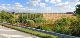 ����� ������� ������,���� �����, �. ��������