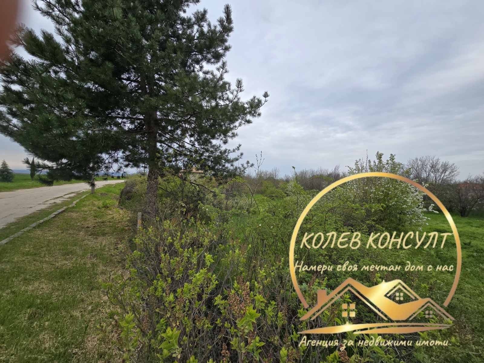 Продава ВИЛА, с. Тянево, област Хасково, снимка 3 - Вили - 54222506