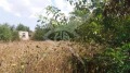Продава ПАРЦЕЛ, с. Татарево, област Пловдив, снимка 2