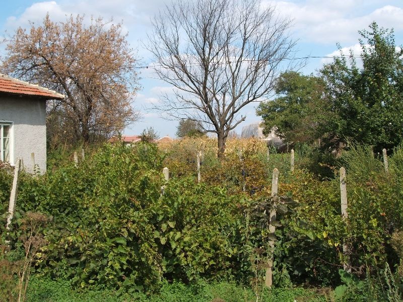 Продава КЪЩА | Imot.bg — изображение 5