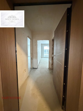 ����� ������� 2-�����,���� �����, �������� ������