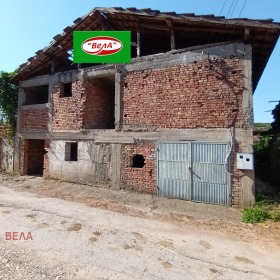 Hus Kamen, region Veliko Tarnovo 2