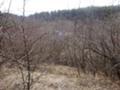 Продава ПАРЦЕЛ, гр. Велико Търново, Бузлуджа, снимка 2