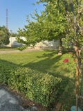 Продава КЪЩА, град Търговище, Боровец • 165000 € • 49927062 — Holmes.bg