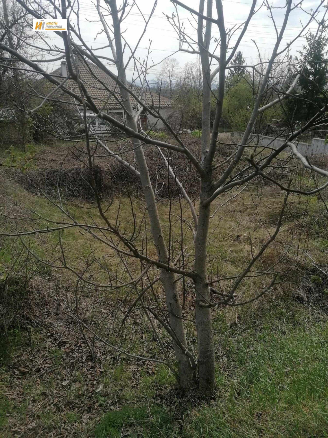 ������� ������ | Imot.bg � ����������� 2