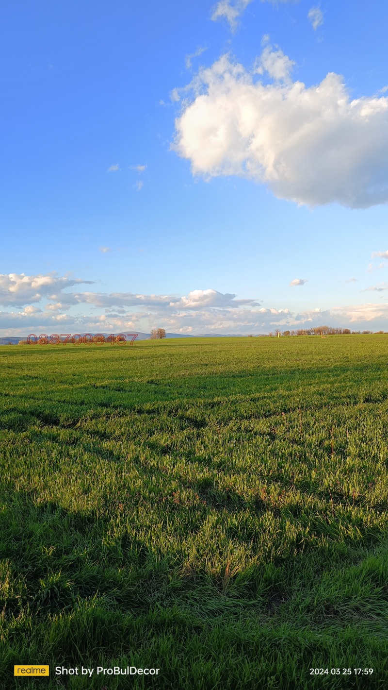 Продава ЗЕМЕДЕЛСКА ЗЕМЯ, с. Загоре, област Стара Загора, снимка 9 - Земеделска земя - 52784144