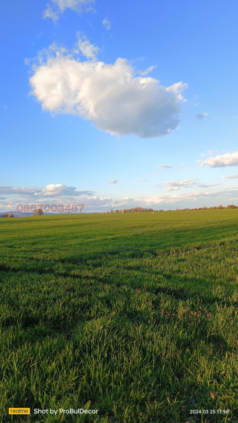 Продава ЗЕМЕДЕЛСКА ЗЕМЯ, с. Загоре, област Стара Загора, снимка 5 - Земеделска земя - 52784144