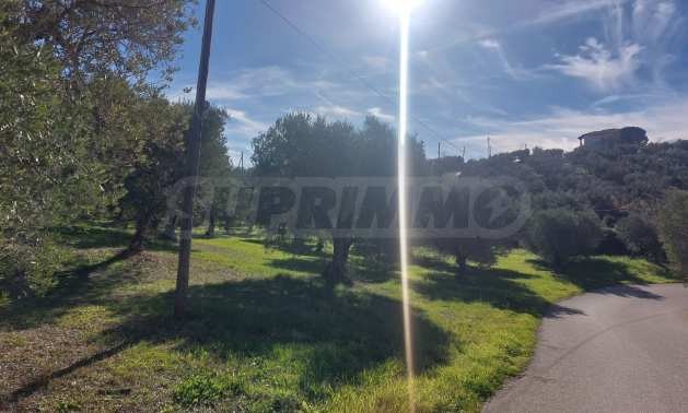 ������� ���� | Imot.bg � ����������� 6