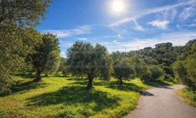 ������� ���� | Imot.bg � ����� ������ 5