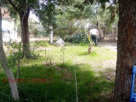 ������� ������, ����� | Imot.bg � ����� ������ 6