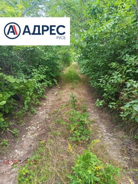������� ������ | Imot.bg � ����� ������ 10