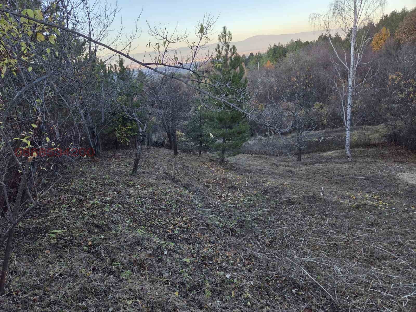 Продава ПАРЦЕЛ, гр. София, с. Герман, снимка 2 - Парцели - 53626287