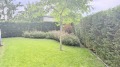 Продава  Мезонет област Бургас , гр. Ахтопол , 245 кв.м | 77883724 - изображение [6]