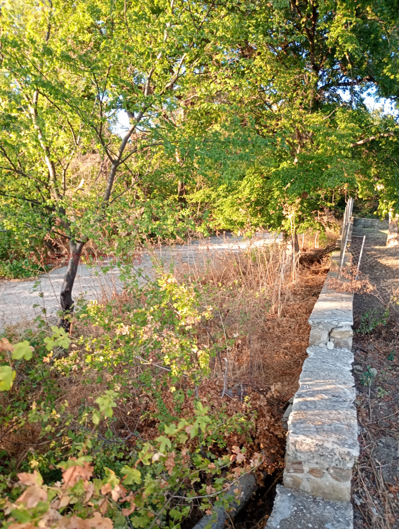 Till salu  Komplott region Burgas , Kosjarica , 480 kvm | 36984795 - bild [17]