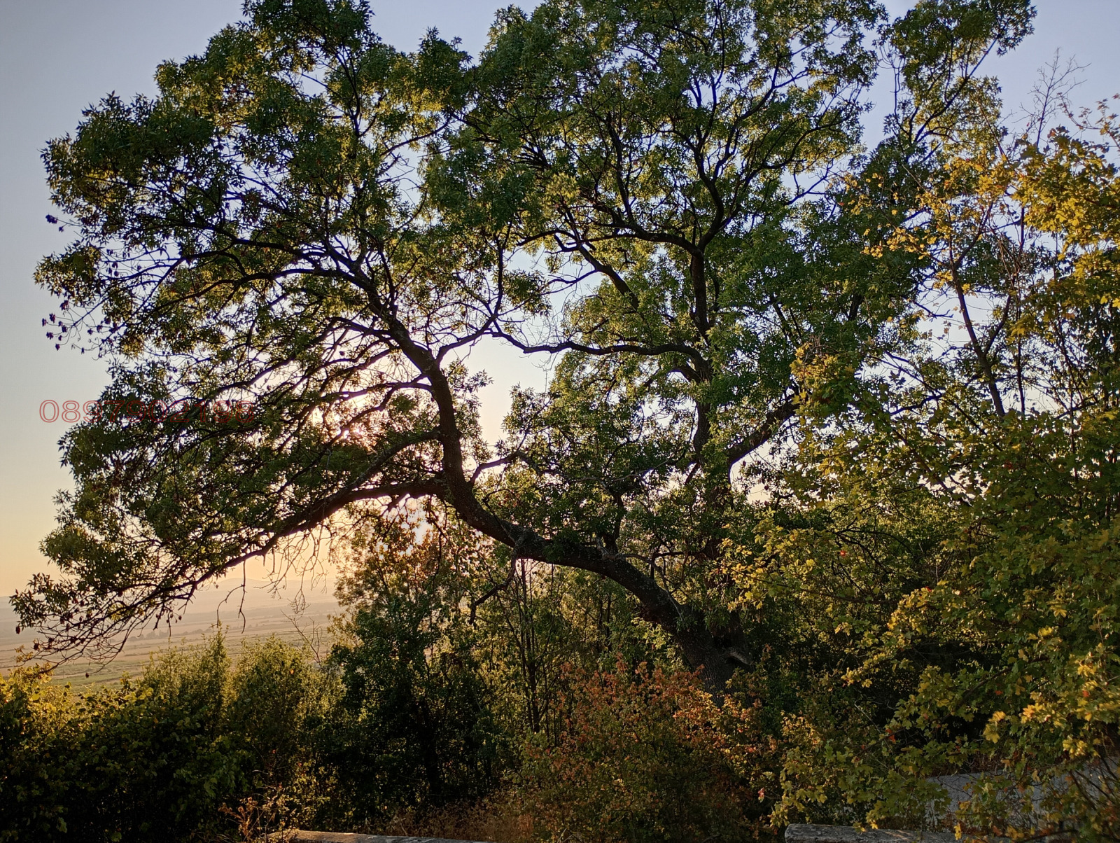 Продава ПАРЦЕЛ, с. Кошарица, област Бургас, снимка 11 - Парцели - 53933117