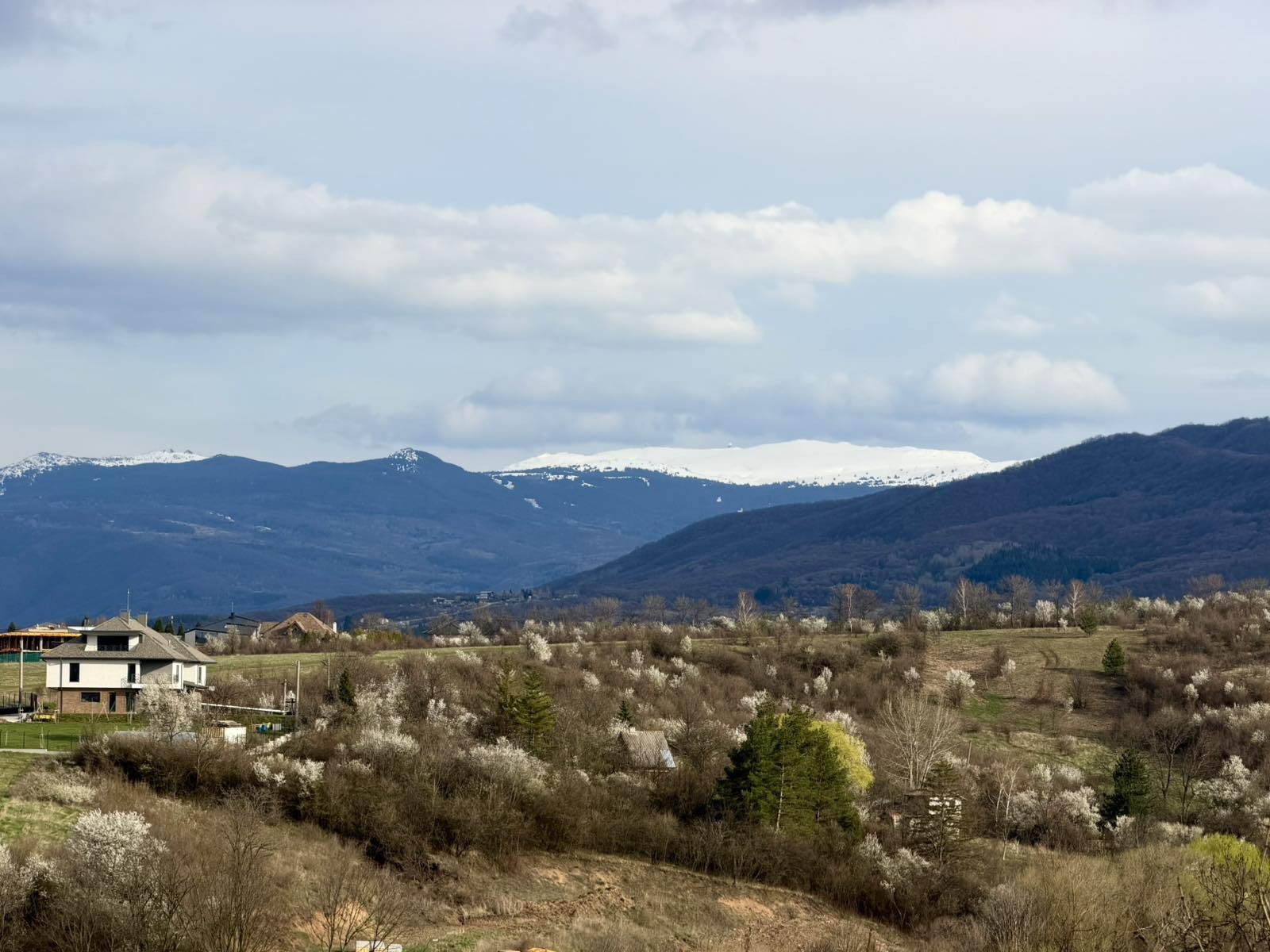 ������� ���� | Imot.bg � ����������� 12