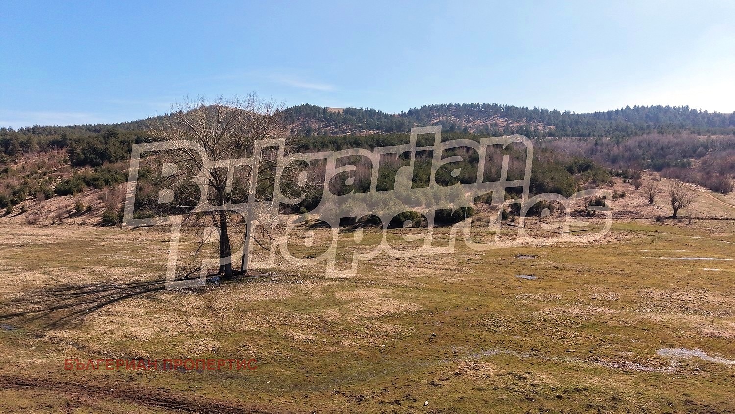 ������� ������ | Imot.bg � ����������� 13