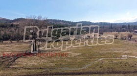 ����� ������� ������,��. �������, ������ �����