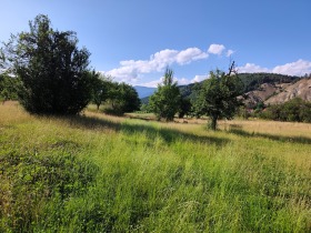 ������� ������ | Imot.bg � ����� ������ 8