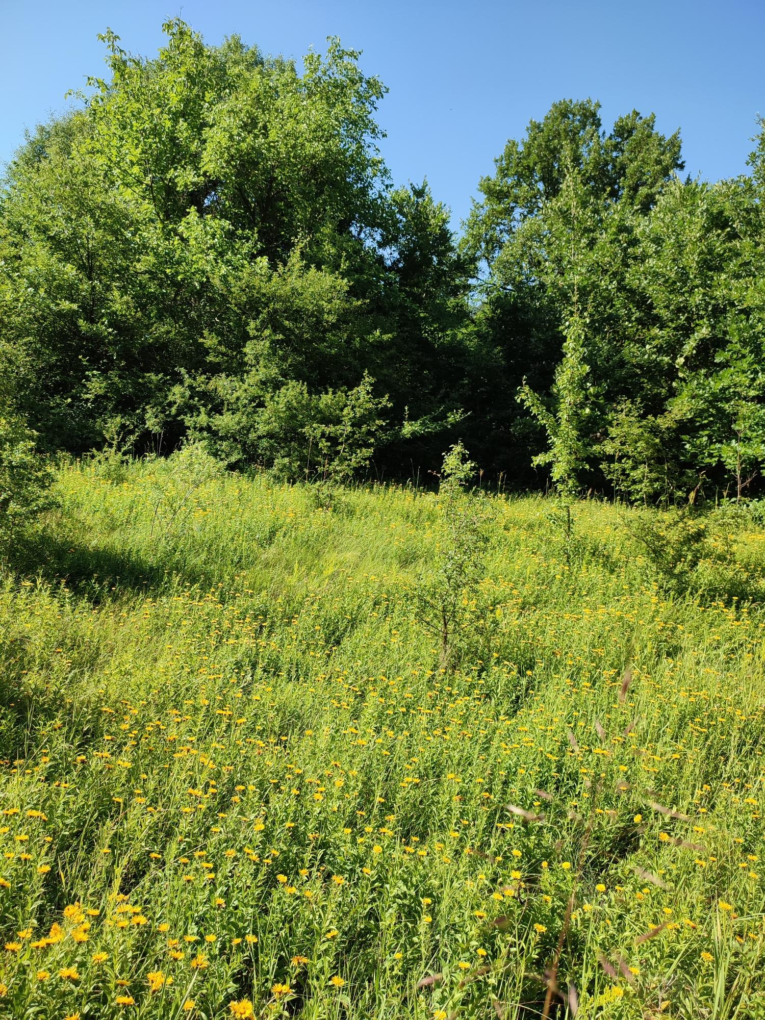 Продава ПАРЦЕЛ, гр. Дряново, област Габрово, снимка 2 - Парцели - 52603142