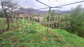 Продава КЪЩА, с. Розовец, област Пловдив, снимка 3
