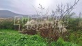 Продава КЪЩА, област Пловдив, с. Розовец • 58000 € • 95795778 — Holmes.bg