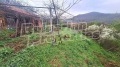 Продава КЪЩА, област Пловдив, с. Розовец • 58000 € • 95795778 — Holmes.bg