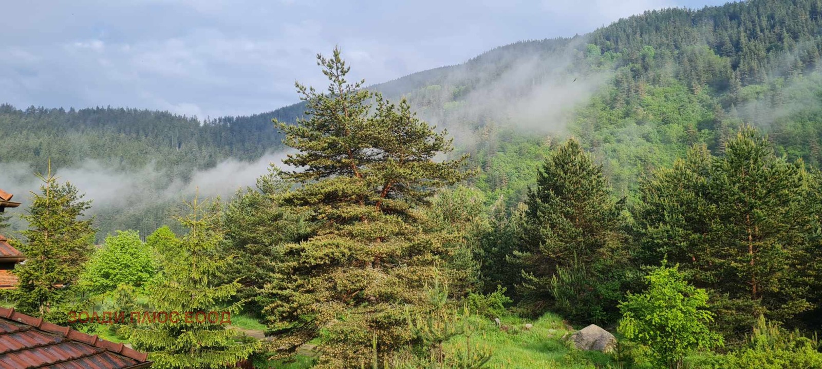 ������� 3-����� | Imot.bg � ����������� 6