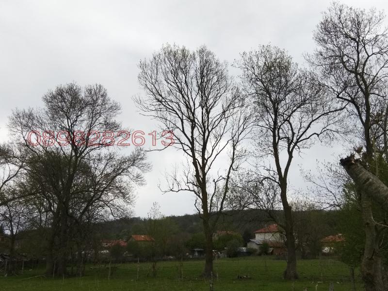 Продава ПАРЦЕЛ, с. Ново Оряхово, област Варна, снимка 6 - Парцели - 54326622