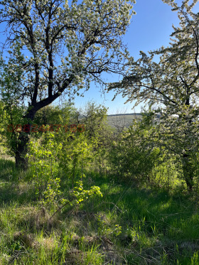 ������� ������ | Imot.bg � ����� ������ 4