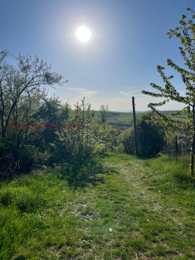 ������� ������ | Imot.bg � ����� ������ 5